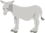 A donkey.