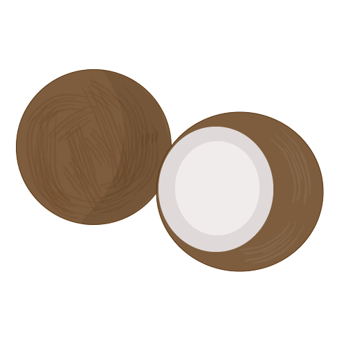 The coconuts that the apes would toss back to the merchants.